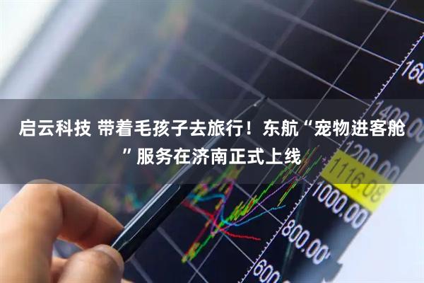 启云科技 带着毛孩子去旅行！东航“宠物进客舱”服务在济南正式上线