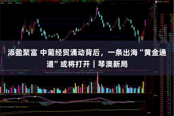 添盈聚富 中葡经贸涌动背后，一条出海“黄金通道”或将打开｜琴澳新局