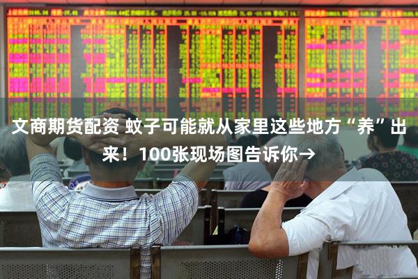 文商期货配资 蚊子可能就从家里这些地方“养”出来！100张现场图告诉你→